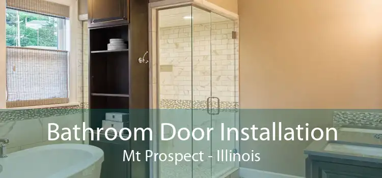 Bathroom Door Installation Mt Prospect - Illinois