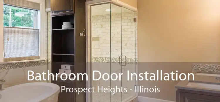 Bathroom Door Installation Prospect Heights - Illinois