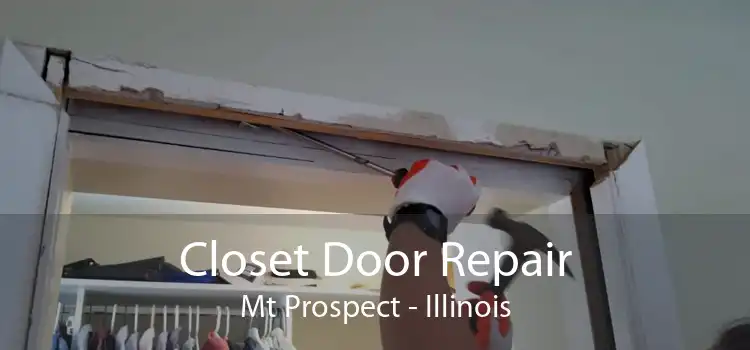 Closet Door Repair Mt Prospect - Illinois