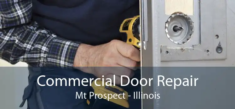 Commercial Door Repair Mt Prospect - Illinois