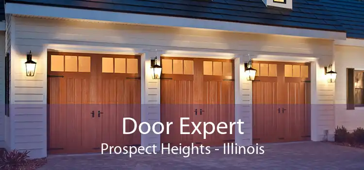 Door Expert Prospect Heights - Illinois