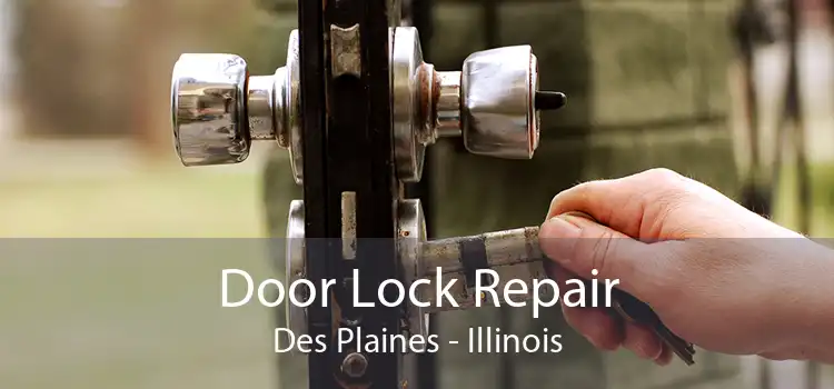 Door Lock Repair Des Plaines - Illinois