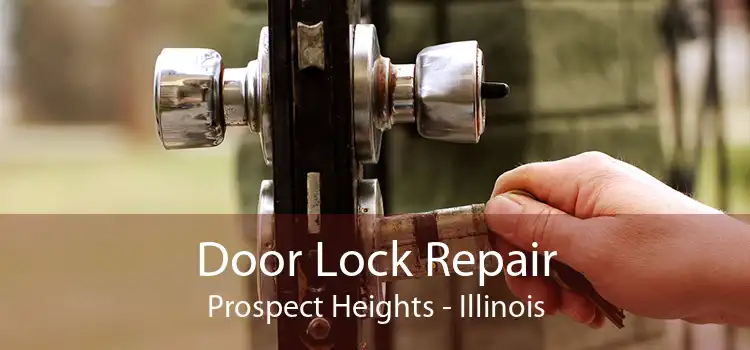 Door Lock Repair Prospect Heights - Illinois