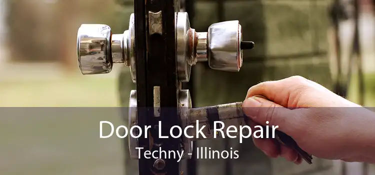 Door Lock Repair Techny - Illinois