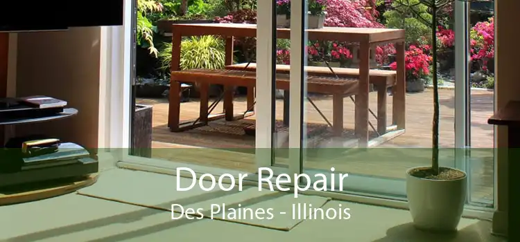 Door Repair Des Plaines - Illinois