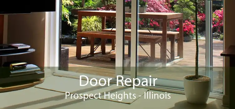 Door Repair Prospect Heights - Illinois