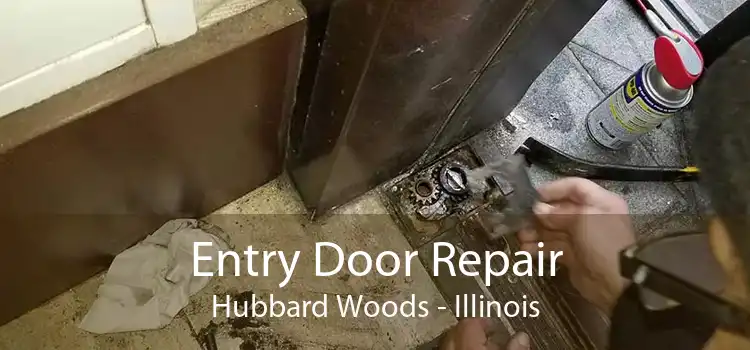 Entry Door Repair Hubbard Woods - Illinois