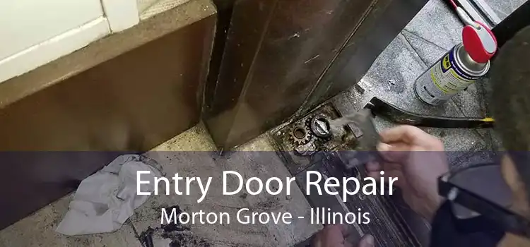 Entry Door Repair Morton Grove - Illinois