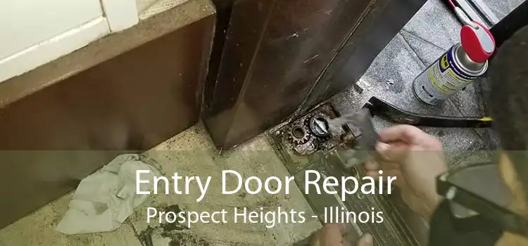 Entry Door Repair Prospect Heights - Illinois