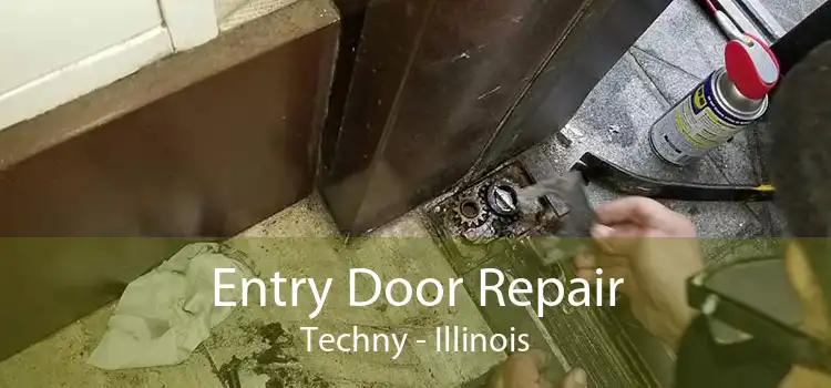 Entry Door Repair Techny - Illinois