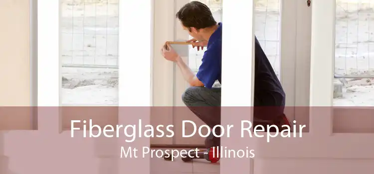 Fiberglass Door Repair Mt Prospect - Illinois