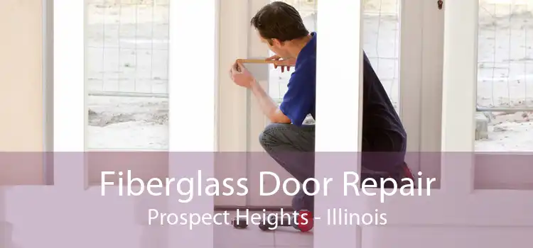 Fiberglass Door Repair Prospect Heights - Illinois