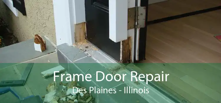 Frame Door Repair Des Plaines - Illinois