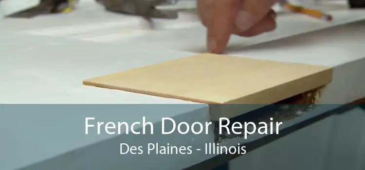 French Door Repair Des Plaines - Illinois