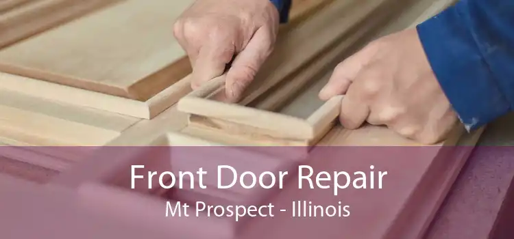 Front Door Repair Mt Prospect - Illinois