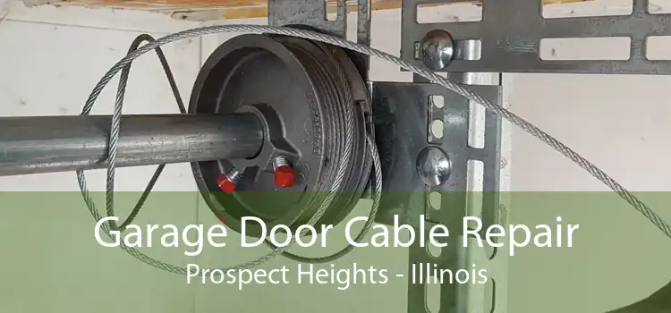 Garage Door Cable Repair Prospect Heights - Illinois