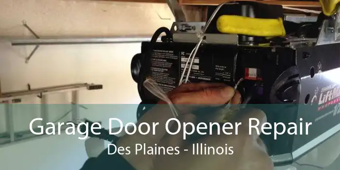 Garage Door Opener Repair Des Plaines - Illinois