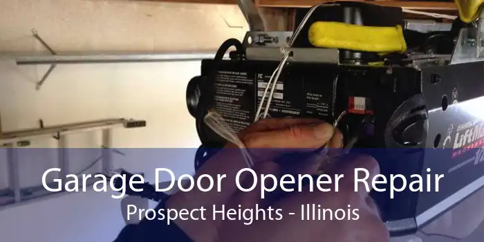 Garage Door Opener Repair Prospect Heights - Illinois