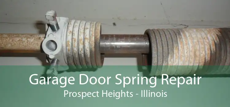 Garage Door Spring Repair Prospect Heights - Illinois