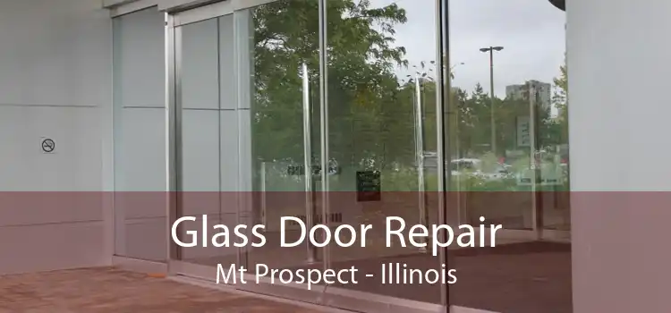 Glass Door Repair Mt Prospect - Illinois