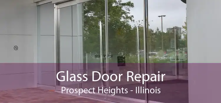 Glass Door Repair Prospect Heights - Illinois