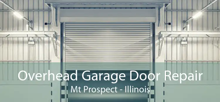 Overhead Garage Door Repair Mt Prospect - Illinois