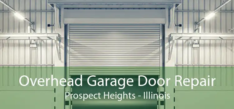 Overhead Garage Door Repair Prospect Heights - Illinois