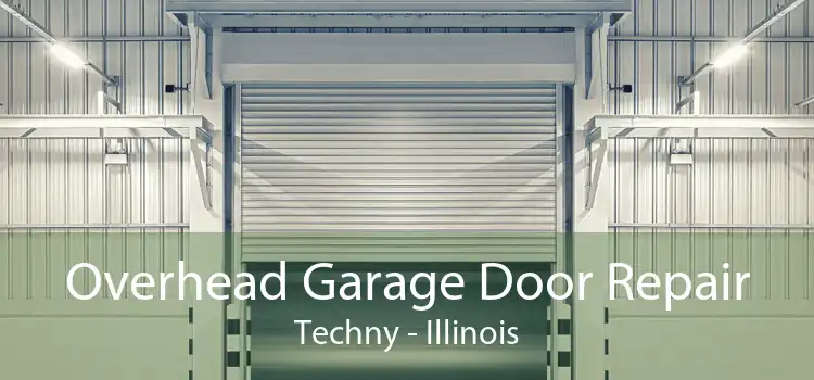 Overhead Garage Door Repair Techny - Illinois