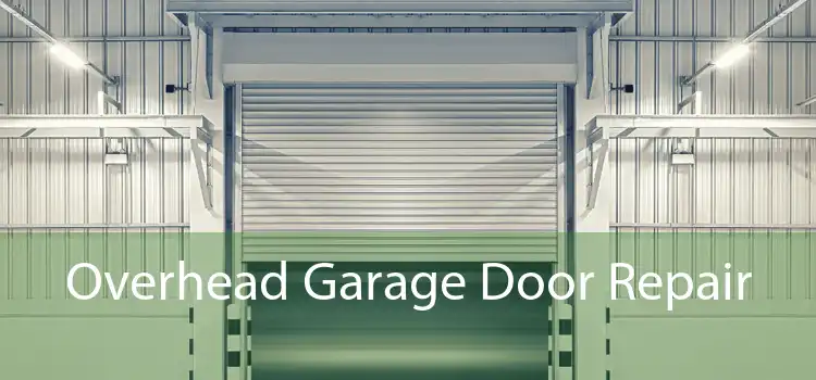 Overhead Garage Door Repair 