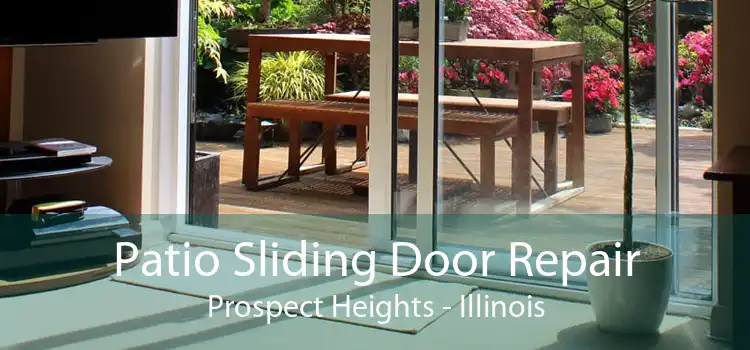 Patio Sliding Door Repair Prospect Heights - Illinois