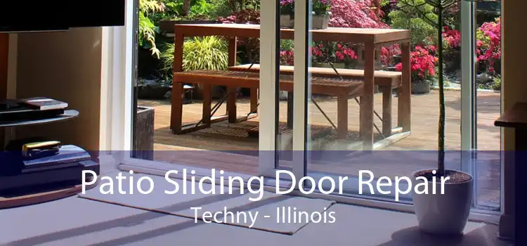 Patio Sliding Door Repair Techny - Illinois