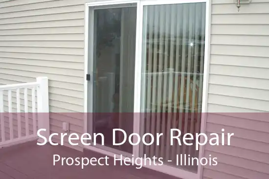 Screen Door Repair Prospect Heights - Illinois