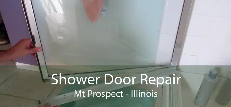 Shower Door Repair Mt Prospect - Illinois