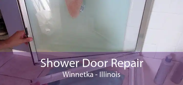 Shower Door Repair Winnetka - Illinois