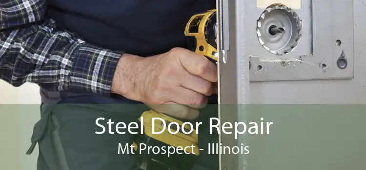 Steel Door Repair Mt Prospect - Illinois