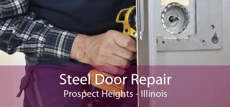 Steel Door Repair Prospect Heights - Illinois