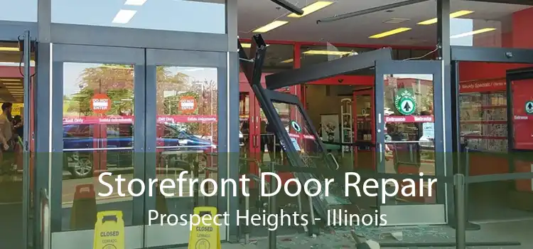 Storefront Door Repair Prospect Heights - Illinois