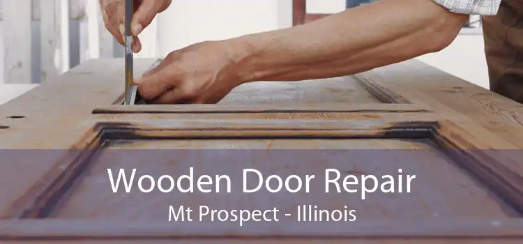 Wooden Door Repair Mt Prospect - Illinois