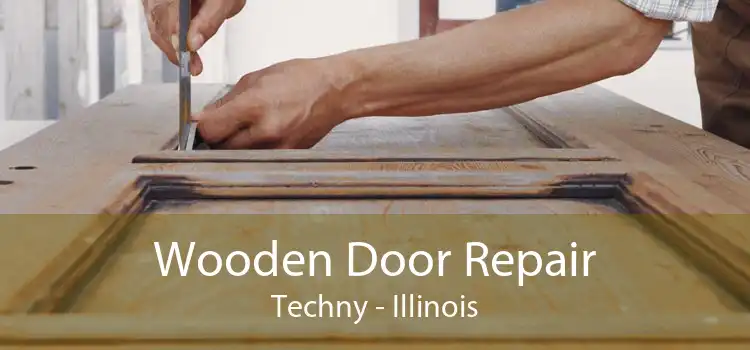 Wooden Door Repair Techny - Illinois